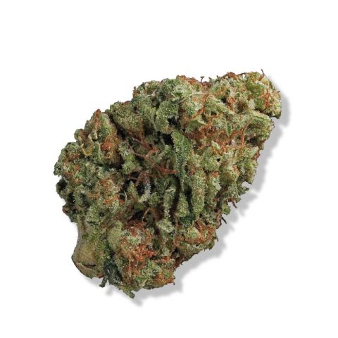 Bruce Banner Strain Flower in Jamaica