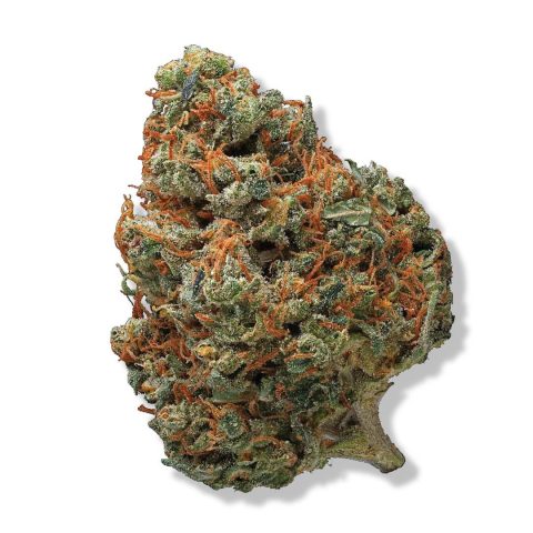 Durban Poison in Jamaica