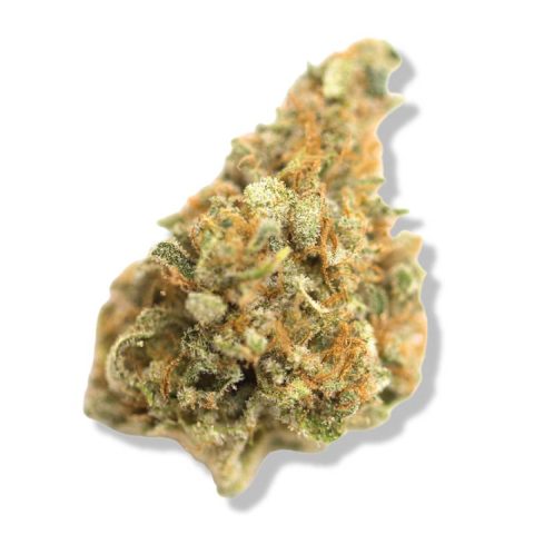 Giga Bud Cannabis Strain Flower in Jamaica