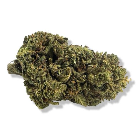 Jamaican Pearl in Jamaica