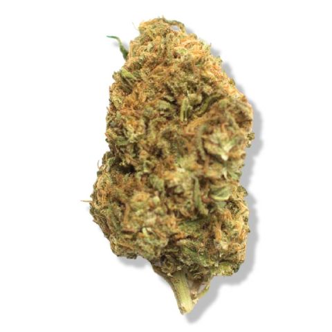 Strawberry Kush Strain in Jamaica