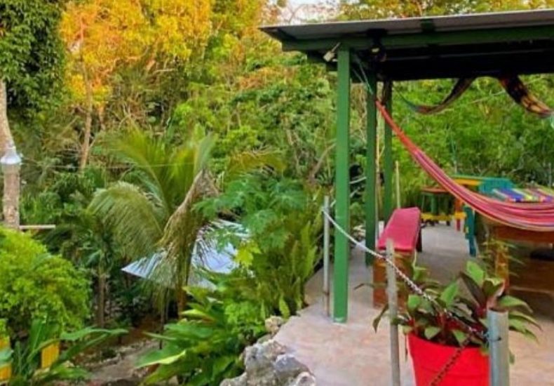 Image of a hammork at Judy house Negril, Affordable Stays in Negril, Travelling in Jamaica on a Budget, cannabis delivery in Negril, Best weed in Negril