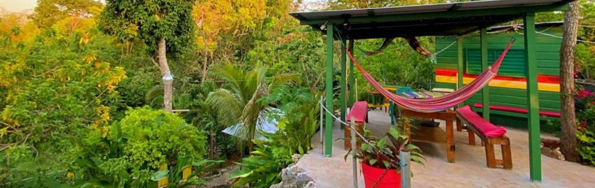 Image of a hammork at Judy house Negril, Affordable Stays in Negril, Travelling in Jamaica on a Budget, cannabis delivery in Negril, Best weed in Negril