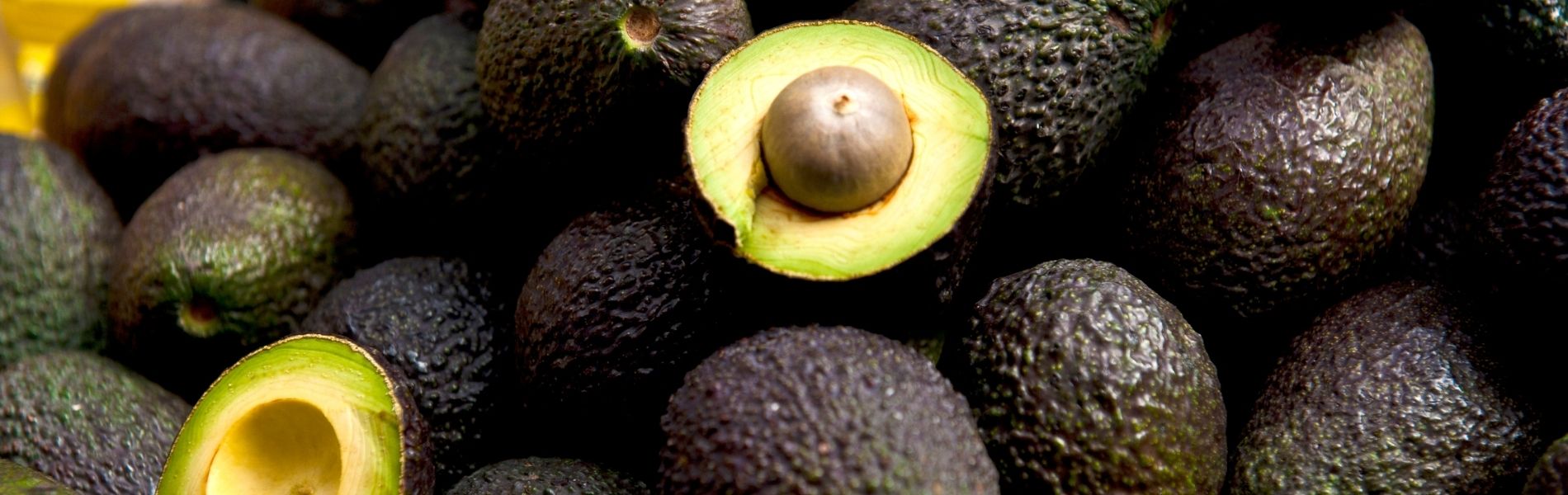 Avocado time in Jamaica, best weed in Negril, Cannabis Delivery in Negril, Image of avocado cut in half