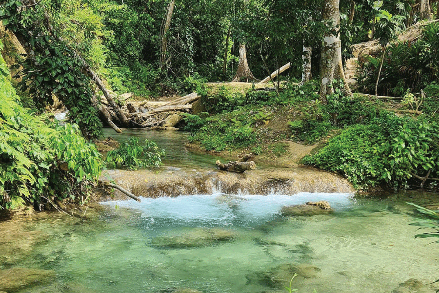 Benta River Falls, Cannabis Delivery Negril, Image of Benta Falls
