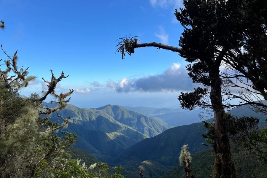 How the Blue Mountains Protect Jamaica, Where to Buy Weed in Jamaica, Image of Blue Mountains