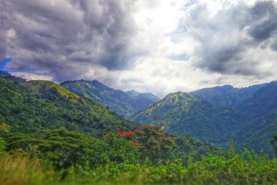How the Blue Mountains Protect Jamaica, Where to Buy Weed in Jamaica, Image of Blue Mountains with clouds overhead