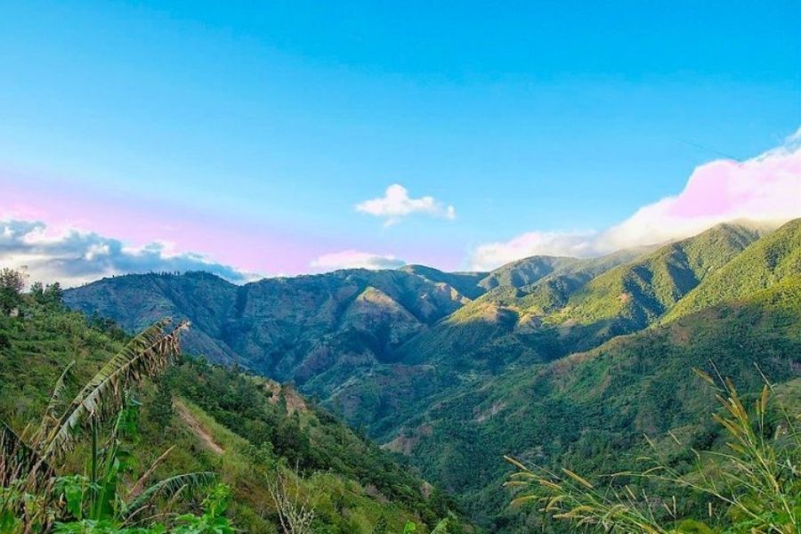 Blue Mountain Landraces, Jamaica Cannabis Delivery Image of the Blue Mountain Range