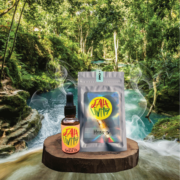 Ganja Oil and Rosin Extracts Negril Jamaica