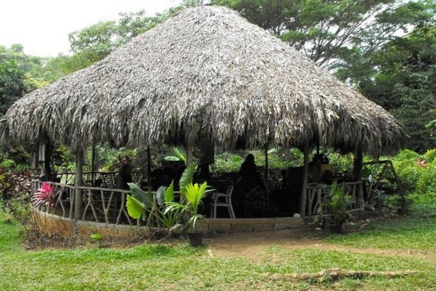 Rastafari Culture, Negril Dispensary, best weed in negril, image of thatch hut