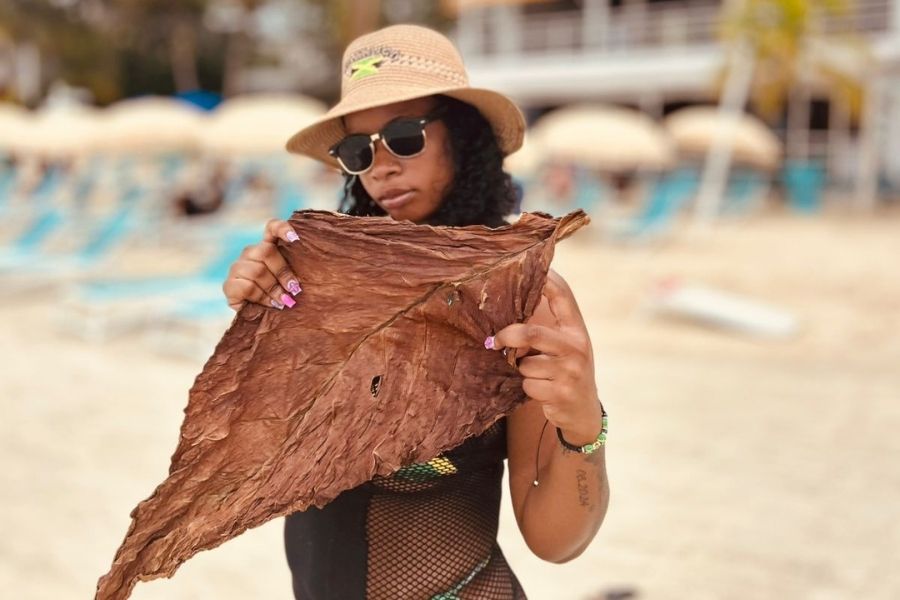 Image of a woman holding a graba leaf, Buy Graba in Jamaica, Fastest Cannabis Delivery in Jamaica, Tobacco Leaf, Hot Graba