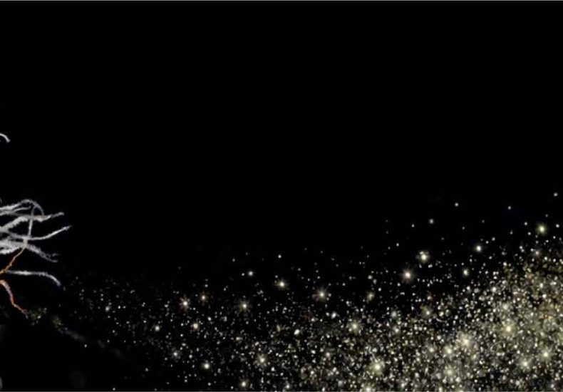 Kief - Sparkling cannabis bud and drifting kief