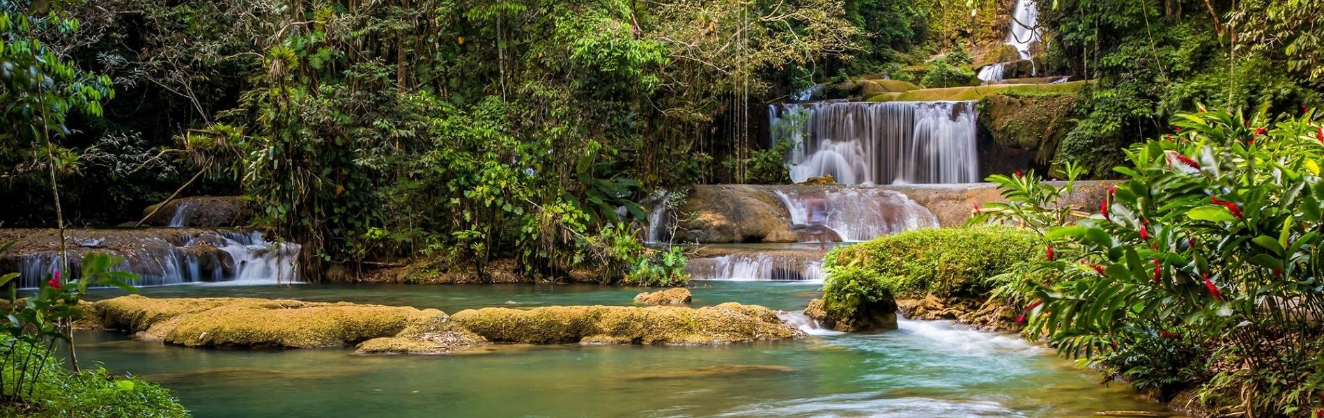 Image of Mayfeild falls, Cannabis Delivery, Ganja Oil