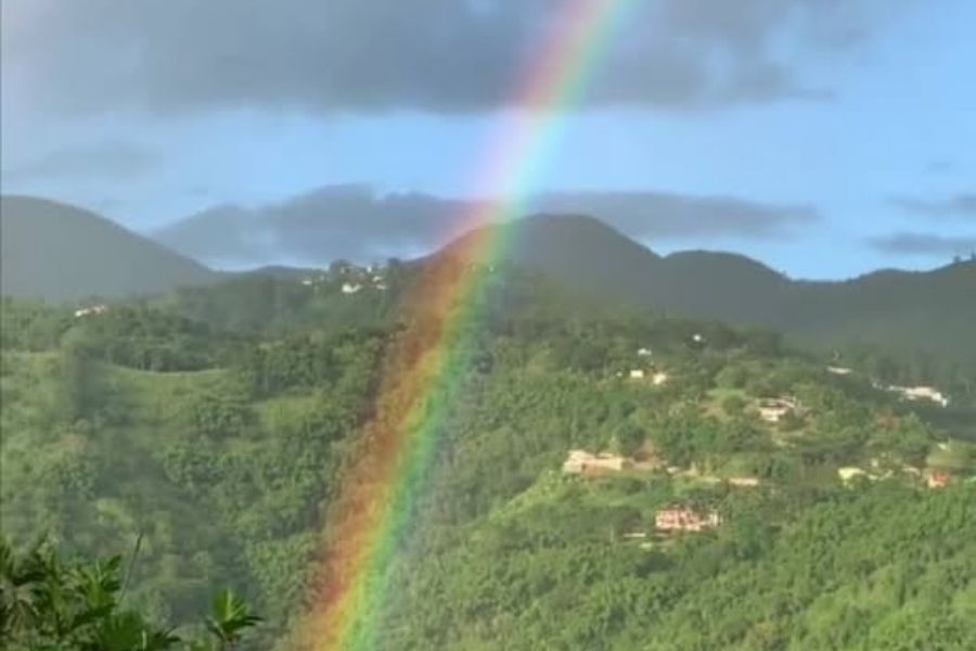 Jamaica Weather, Negril Weather Forecast, Weed Delivery in Jamaica Image of a Rainbone