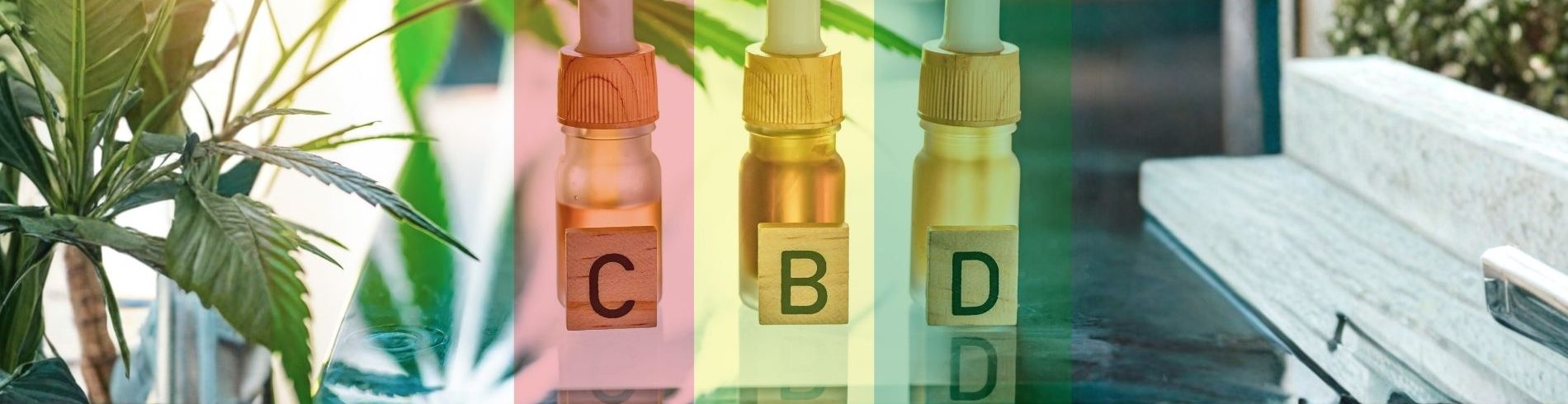 Jamaica's CBD, CBD in Jamaica, Weed delivery in Negril