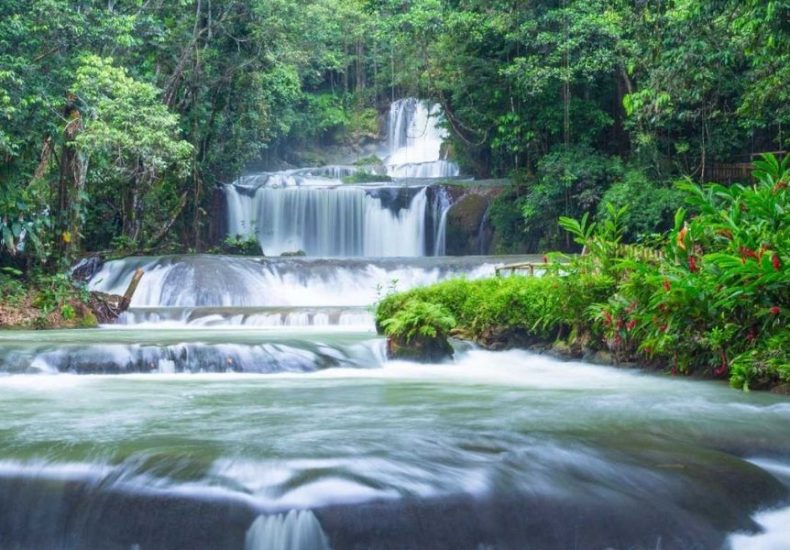 YS Falls Jamaica, Weed Delivery in Negril, Cannabis Delivery in Jamaica, Waterfalls in Jamaica