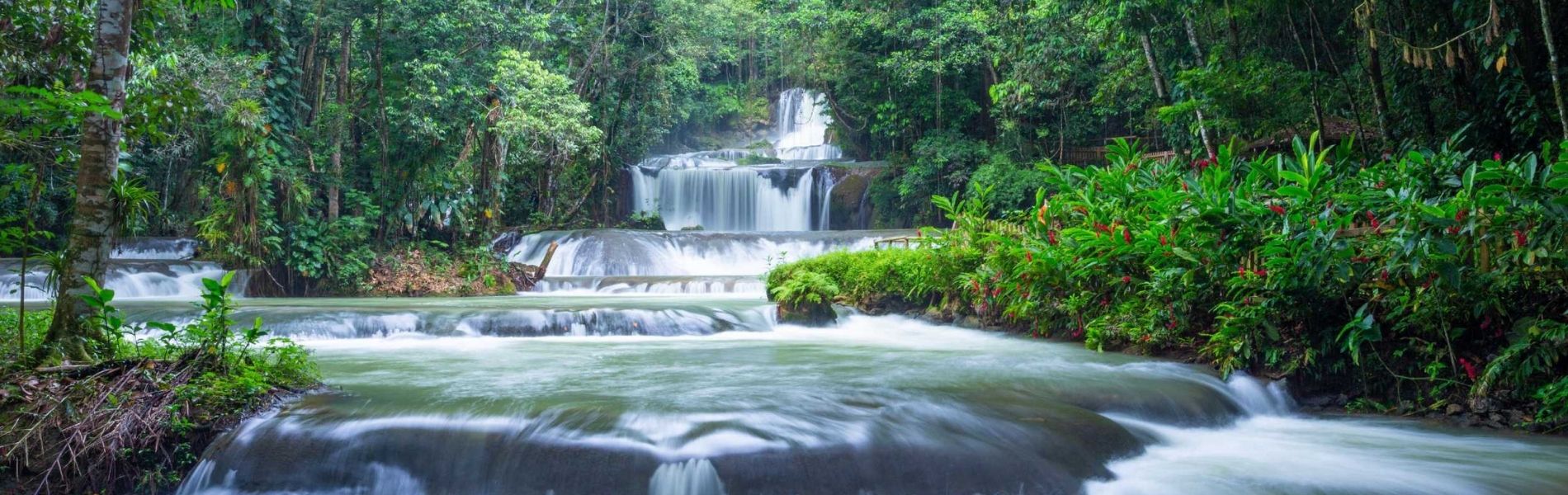 YS Falls Jamaica, Weed Delivery in Negril, Cannabis Delivery in Jamaica, Waterfalls in Jamaica