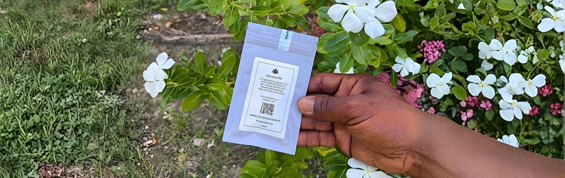 Vaping in Jamaica, Full spectrum vapes, where to buy vapes in Negril