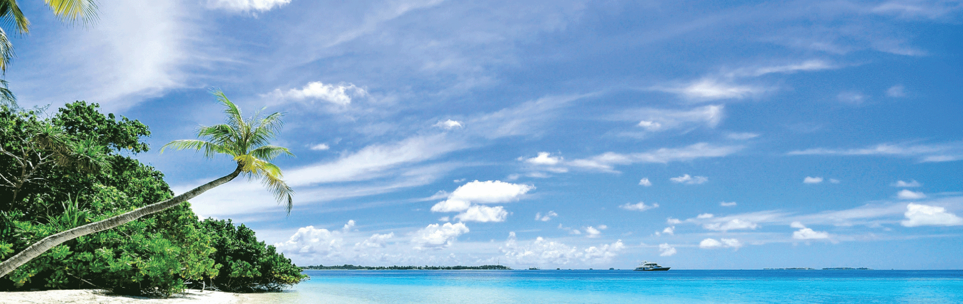 Cannabis Delivery at Couples Swept away Negril beach, weed delivery in negril, image of 7 mile