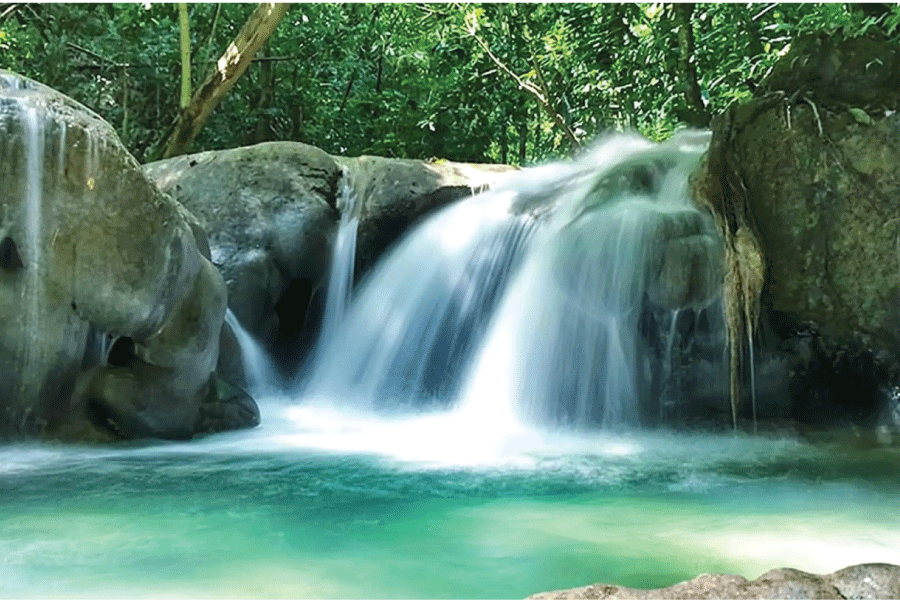 Mayfeild Falls, Cannabis Delivery, Ganja Oil, Image of Mayfeild Falls