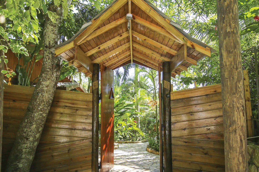 Mayfeild Falls, Cannabis Delivery, Ganja Oil, Image of Mayfeild Falls